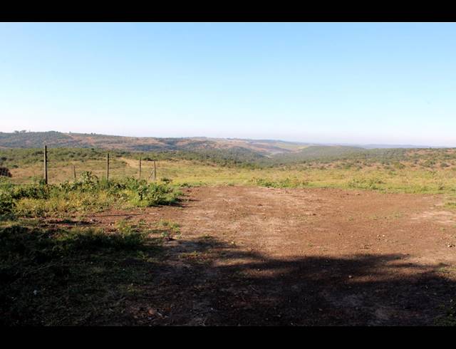 231HA FARM FOR SALE IN EAST LONDON RURAL